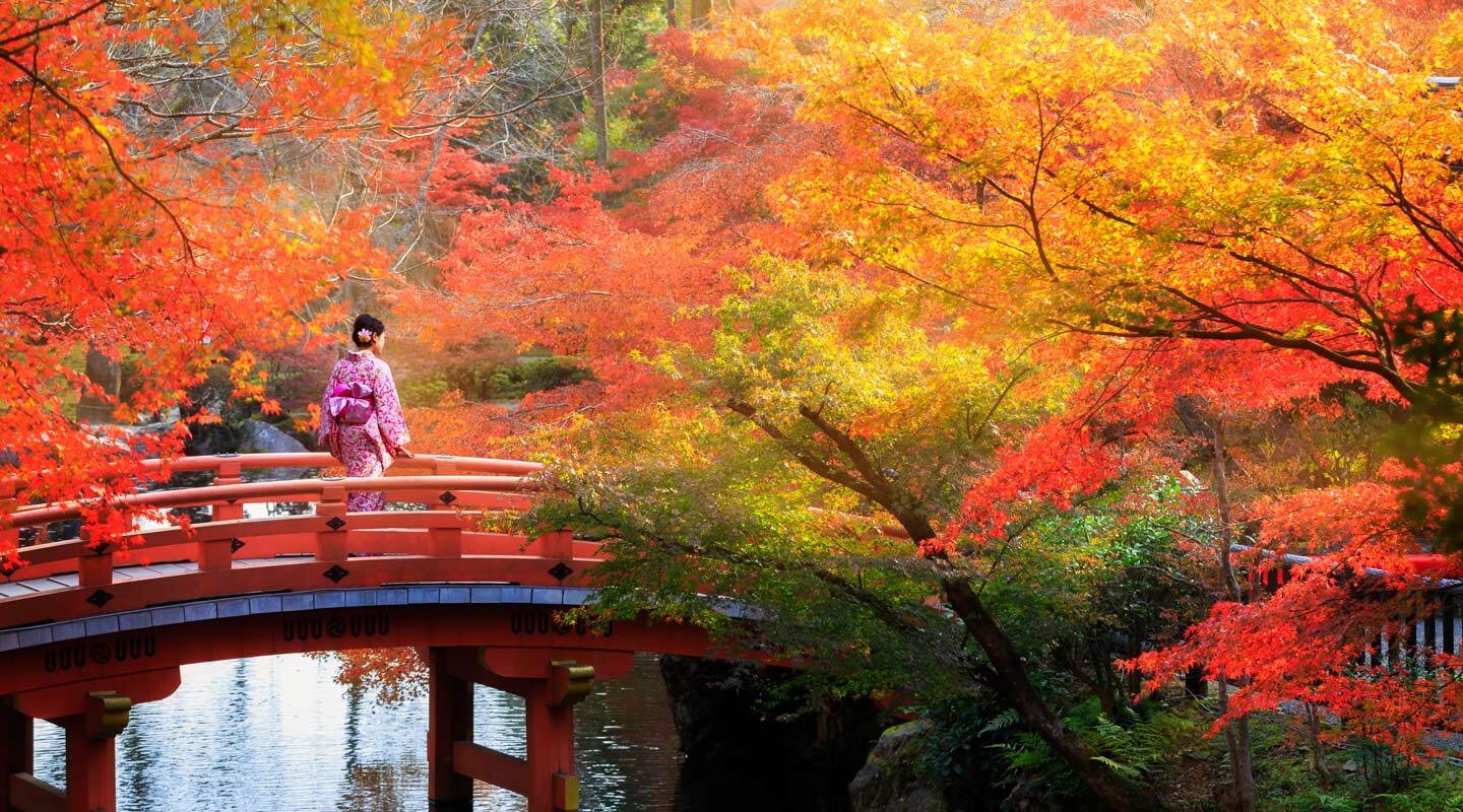 Fantastiskt vackra höstfärger i Japan.