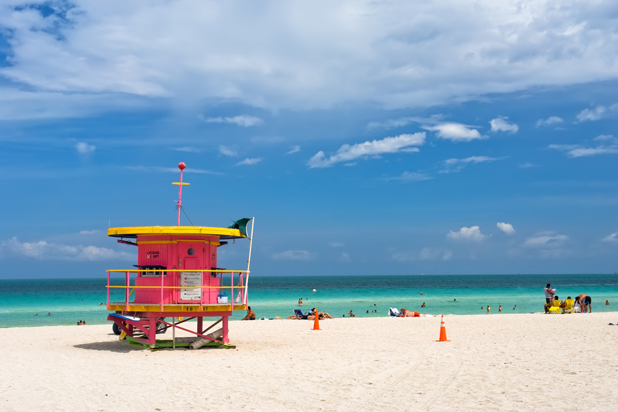 Rosa badvaktstorn på en strand i Miami, Florida.