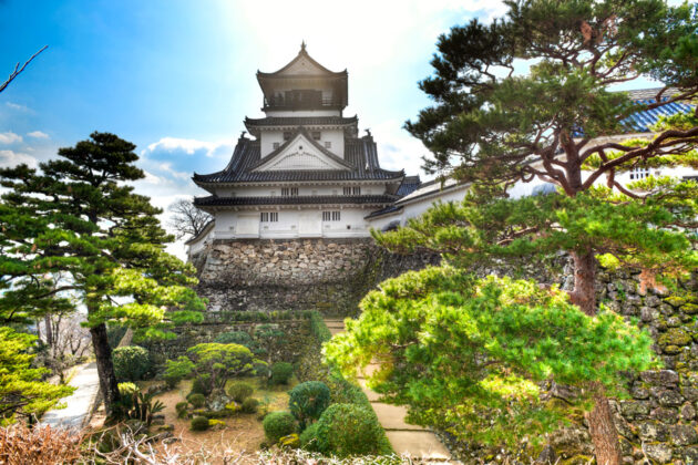 Vackra Kochi slott i Japan.