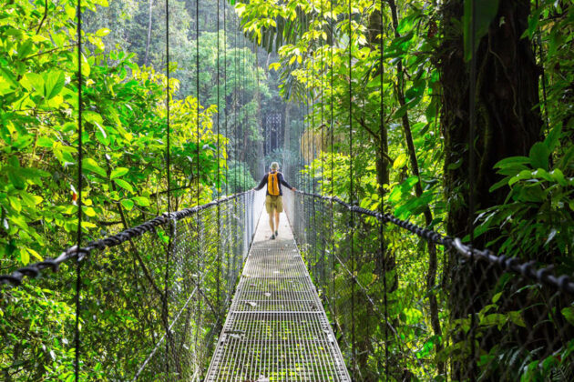Hängbro genom lummig regnskog i Costa Rica.