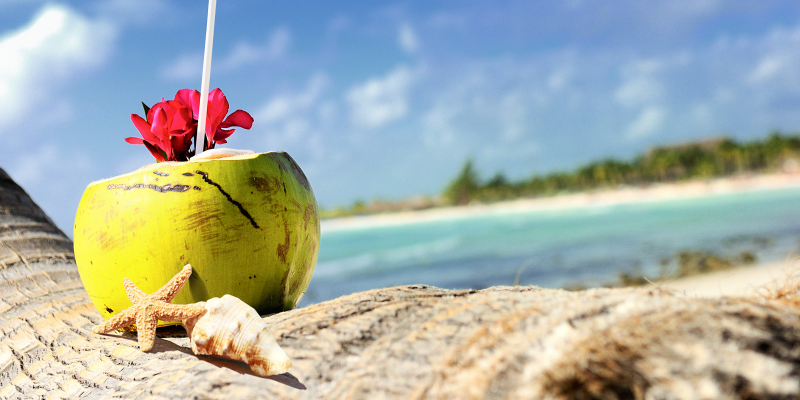 Kokosnöt med sugrör i, vid en härlig karibisk strand.