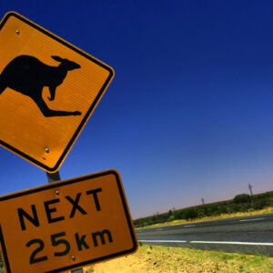 Trafikskylt som varnar för kängurus, i Australien.