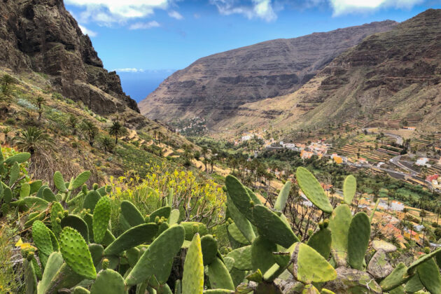 Valle-Gran_Rey-in-La-Gomera-Island-Canary-Islands