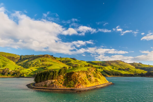Otago Peninsula i Nya Zeeland.