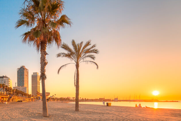 Vacker solnedgång över stranden i Barcelona, Spanien.