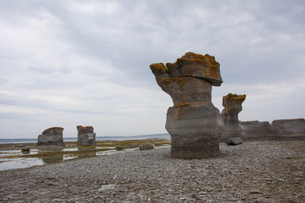Raukar på en strand vid St Lawrence-floden i Quebec